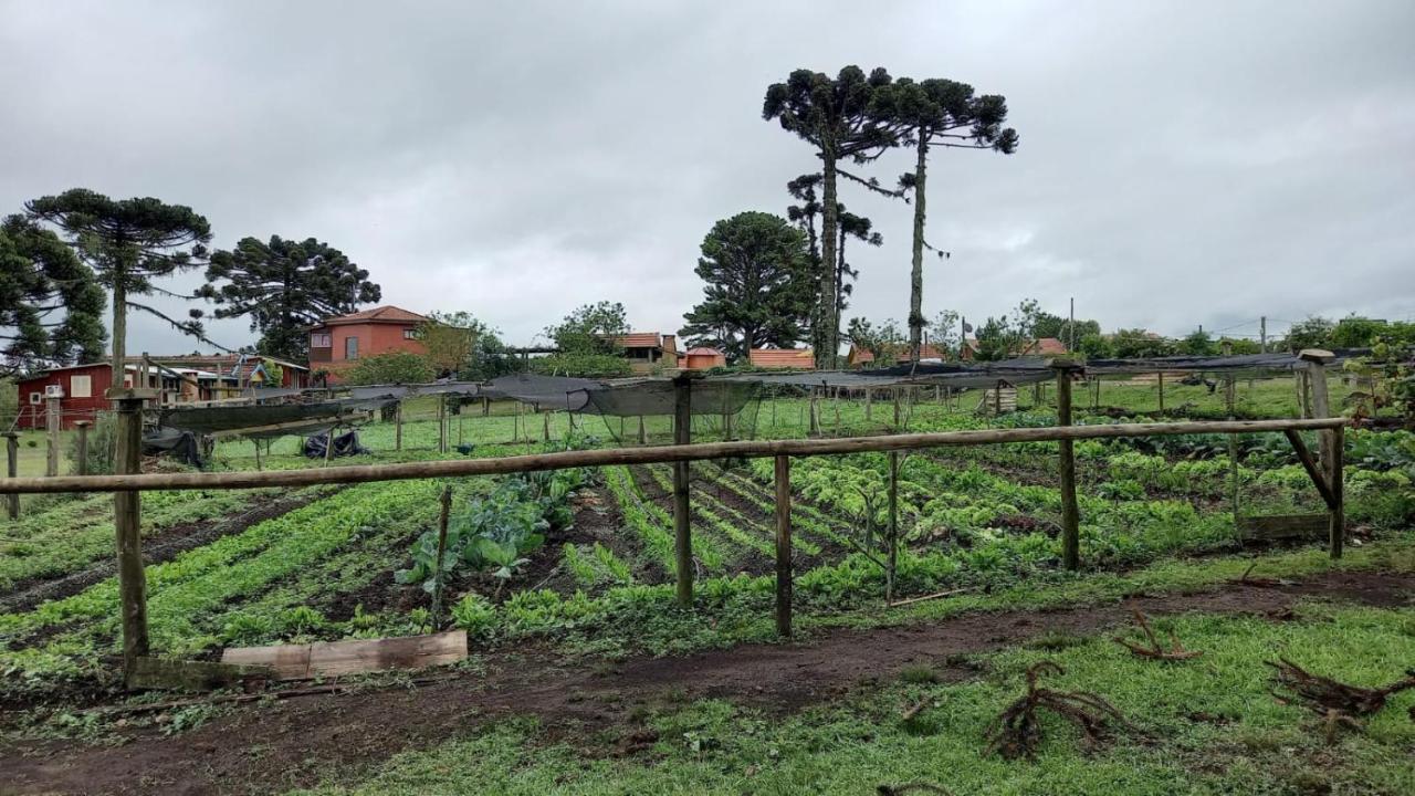Cabanas Do Casarao Pousada Rural E Camping Cambará Exterior foto
